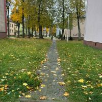 Chodniki i droga wewnętrzna w osiedlu Chemików - stan przed remontem (2)