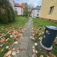 Chodniki i droga wewnętrzna w osiedlu Chemików - stan przed remontem (1)