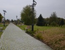 JESIEŃ W NASZYM MINIARBORETUM