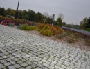 JESIEŃ W NASZYM MINIARBORETUM
