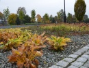 JESIEŃ W NASZYM MINIARBORETUM