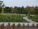 JESIEŃ W NASZYM MINIARBORETUM