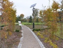 JESIEŃ W NASZYM MINIARBORETUM