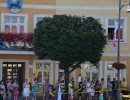 TDP 2017