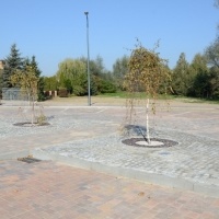 Parking przy ulicy Licealnej