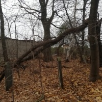 Przed rewitalizacją