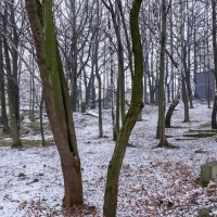 Po rewitalizacji