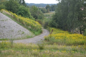 Droga rowerowa - ulica Wylotowa