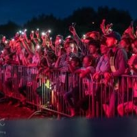 Koncert Sarsy
