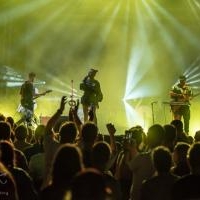 Koncert Sarsy