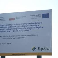 Nasadzenie wzdłuż Węglowej