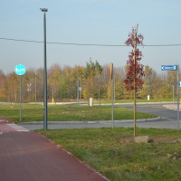 Nasadzenia wzdłuż ulicy Wylotowej