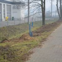 Trwa budowa fundamentów i układanie okablowania pod lampy