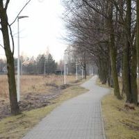 Lampy wzdłuż drogi rowerowej