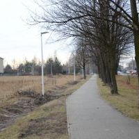 Lampy wzdłuż drogi rowerowej