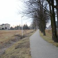Lampy wzdłuż drogi rowerowej
