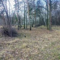 Prace remontowo - porządkowe w obiektach BOSiR