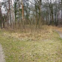Prace remontowo - porządkowe w obiektach BOSiR
