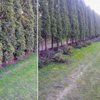 Prace remontowo - porządkowe w obiektach BOSiR