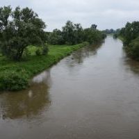 Rzeka Wisła - 23 czerwca