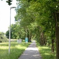 Oświetlenie ścieżki rowerowej w systemie nadążnym
