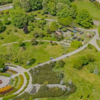Mini Arboretum (4)