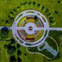 Mini Arboretum