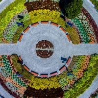 Mini Arboretum
