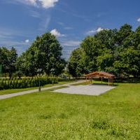Mini Arboretum