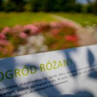 Mini Arboretum