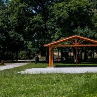 Mini Arboretum
