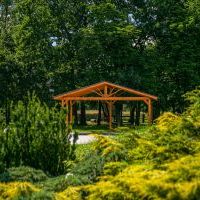 Mini Arboretum (5)