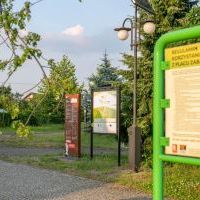 Mini Arboretum  (2)