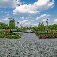 Mini Arboretum  (1)