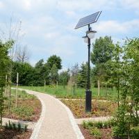 Mini Arboretum  (1)