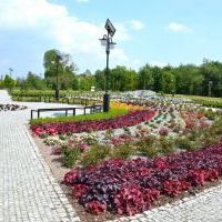 Mini Arboretum  (2)