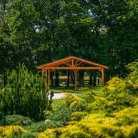 Wiato-scena w Arboretum