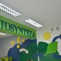 ZIELONA PRACOWNIA W SP3