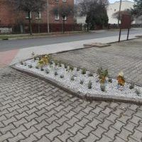 Zagospodarowanie terenu wokół RCKG 