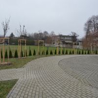 Zagospodarowanie terenu wokół RCKG 
