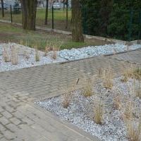 Zagospodarowanie terenu wokół RCKG 