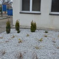 Zagospodarowanie terenu wokół RCKG 