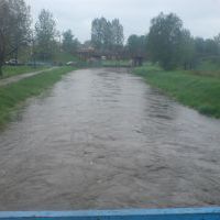 Zdjęcia konkursowe (6)