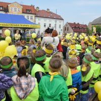 Zdjęcia konkursowe (5)