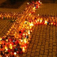 Zdjęcia konkursowe (5)