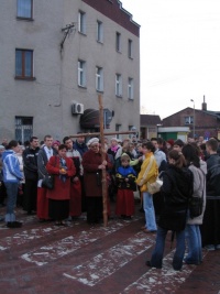 Zdjęcia konkursowe (9)