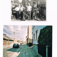Zdjęcia konkursowe (5)