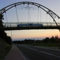 Zdjęcia konkursowe (3)
