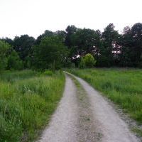 Zdjęcia konkursowe (3)