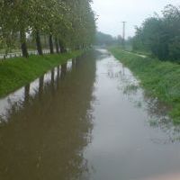 Zdjęcia konkursowe (4)